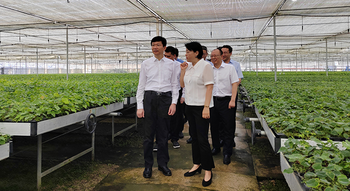 1724638133180011981.jpg 1.jpg