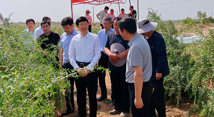 1749779569140014639.jpg 未標題-1.jpg