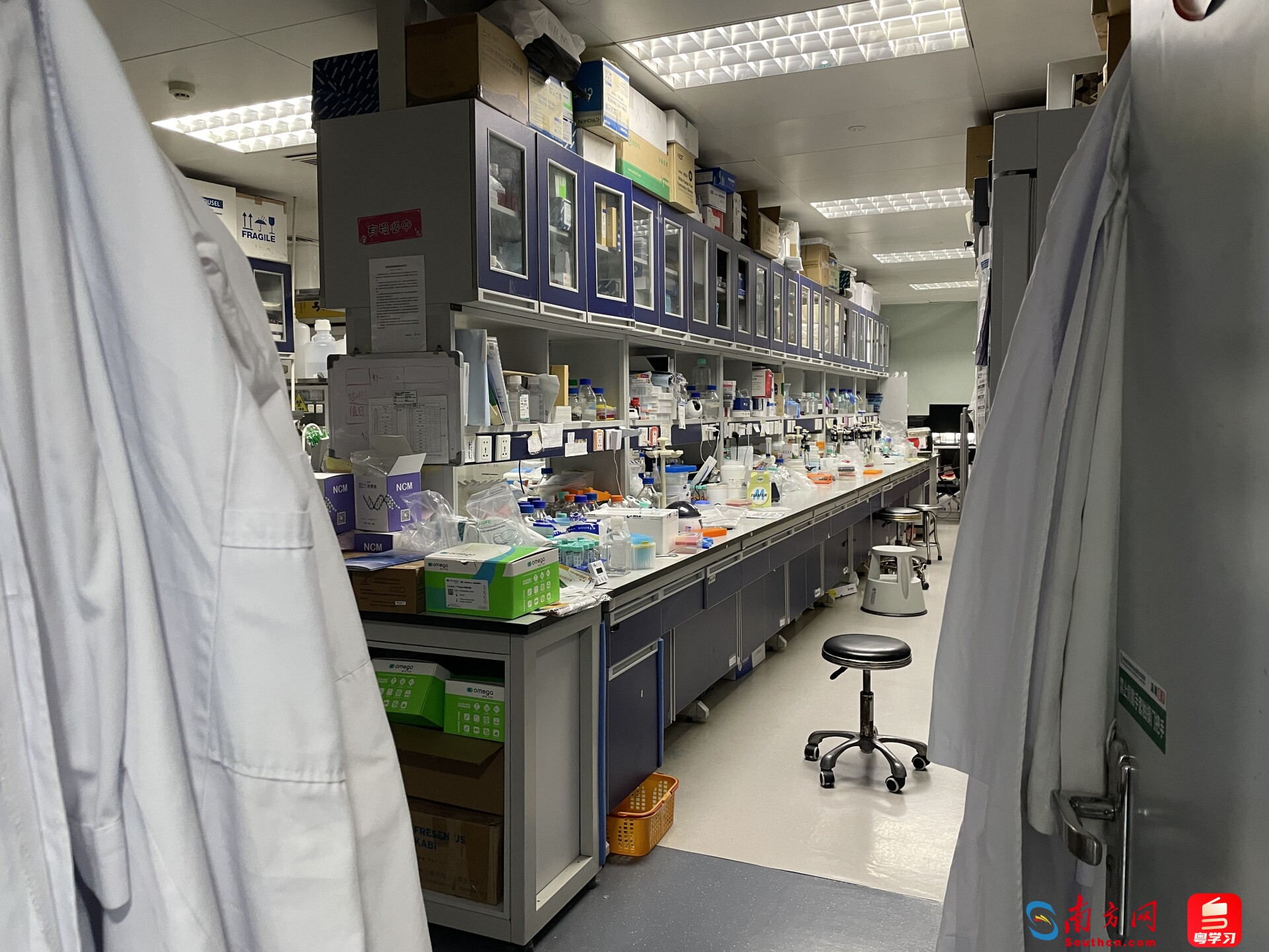 華南惡性腫瘤防治全國重點實驗室。